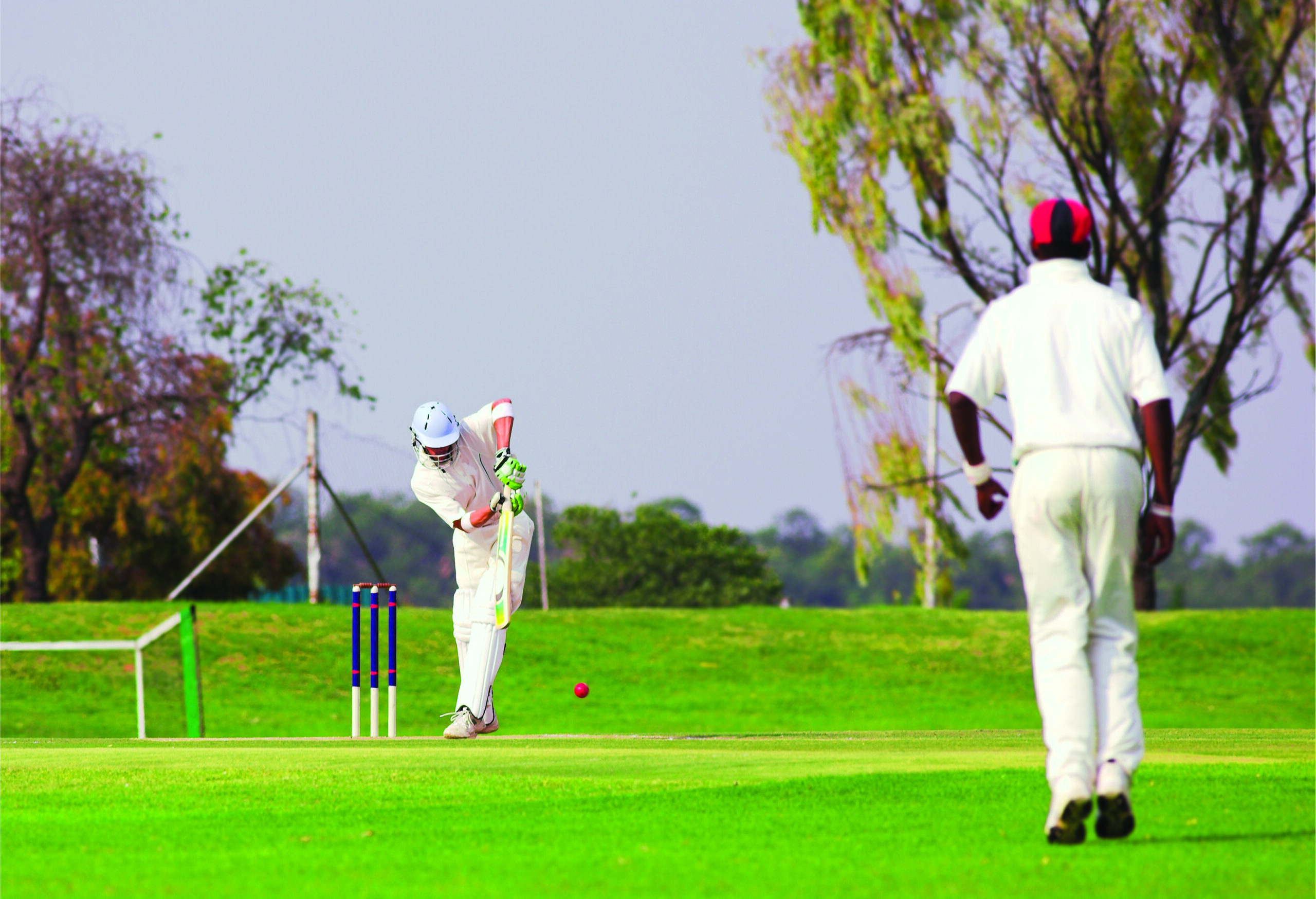 CRICKET PITCHES