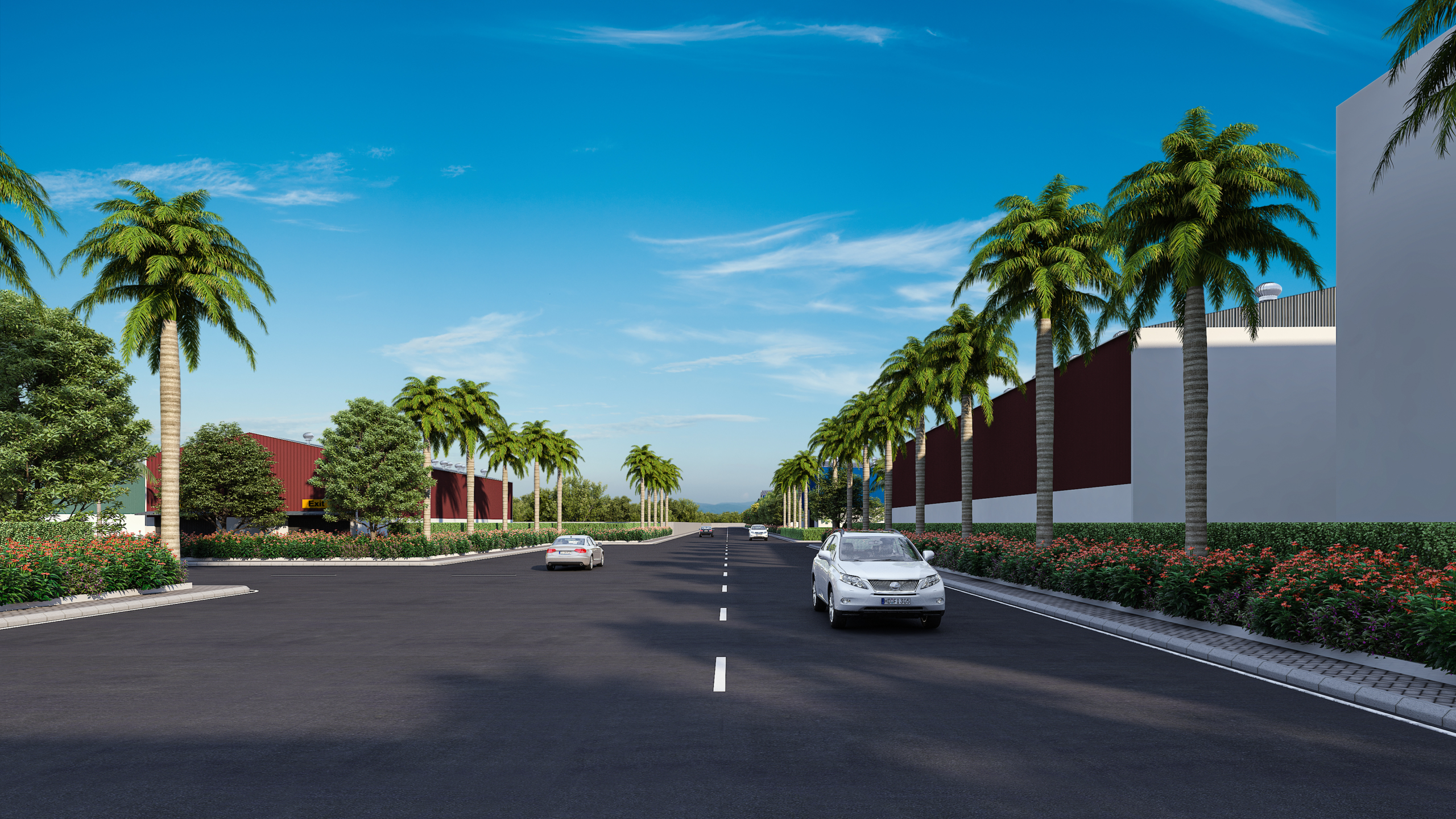 Palm_Entry